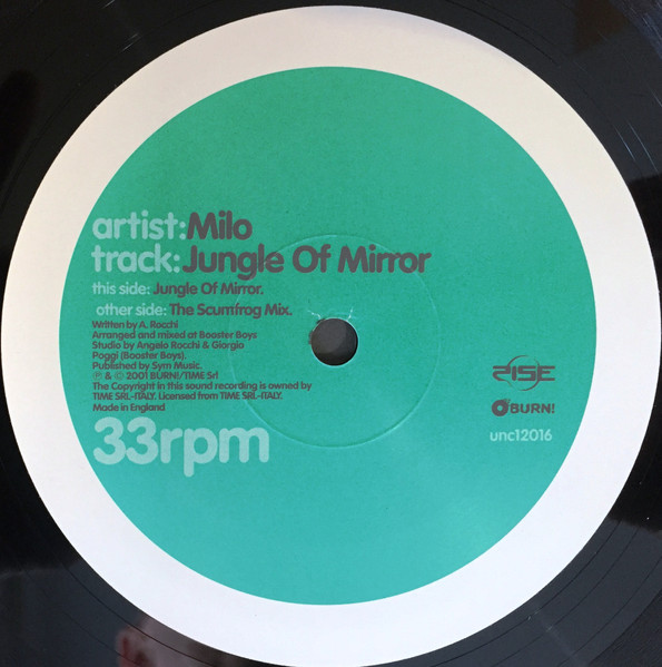 Jungle Of Mirror