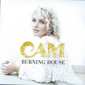 Burning House