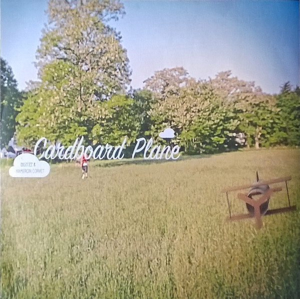 Cardboard Plane