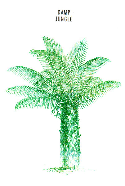 Damp Jungle