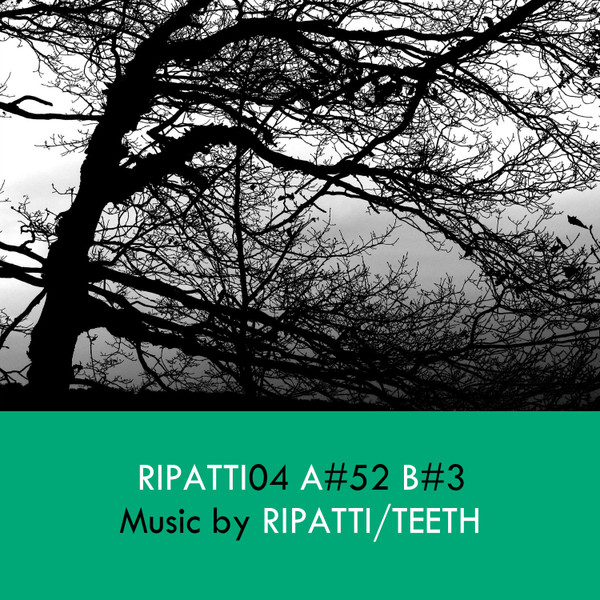 Ripatti04 Digital Version