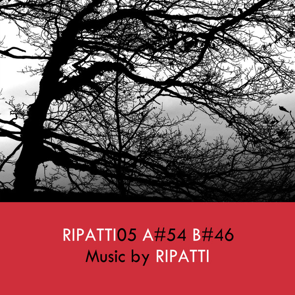 Ripatti05 Digital Version