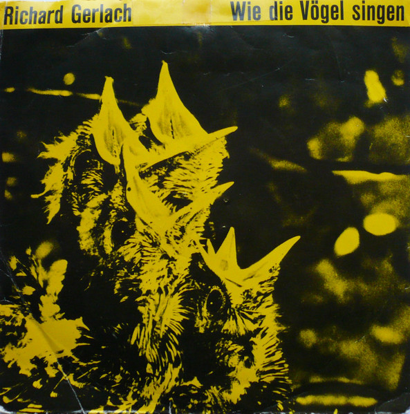 Wie Die Vögel Singen
