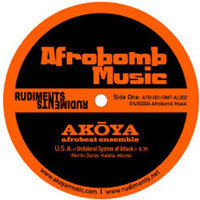 Introducing The Akoya Afrobeat Ensemble
