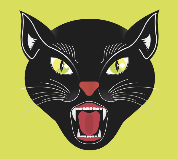 Black Cat - Best You Can Get