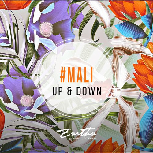 Up & Down