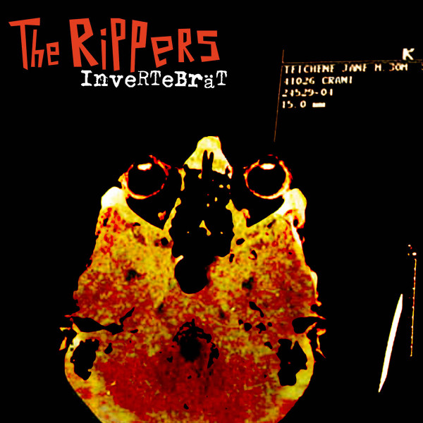 Invertebrät