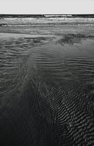 Shallows