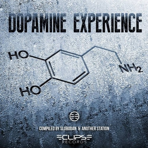 Dopamine Experience