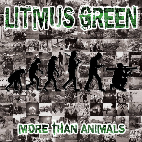 More Than Animals