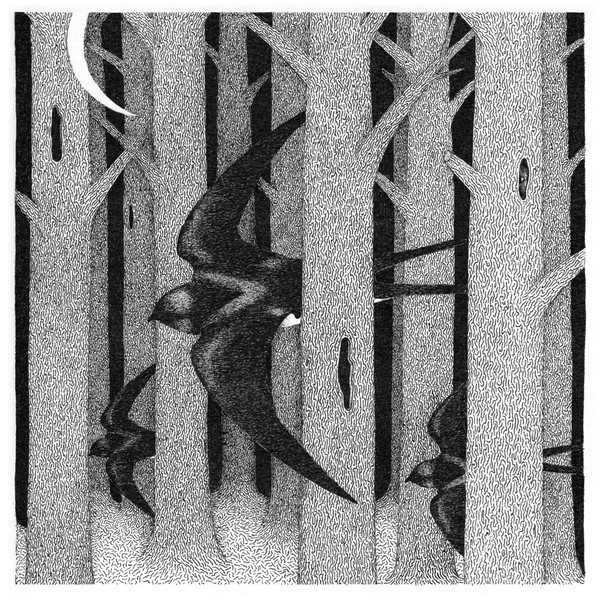 Parallel Landscapes