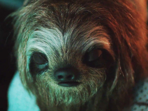Stoner Sloth