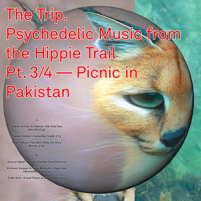 The Trip (Psychedelic Music From The Hippie Trail Pt. 3/4 - Picnic In Pakistan)
