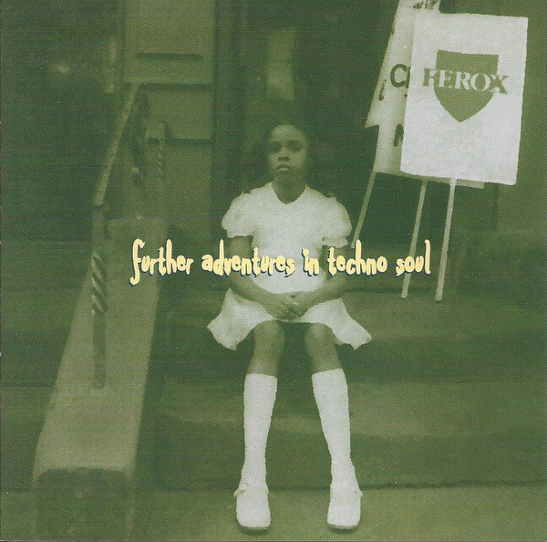 Further Adventures In Techno Soul
