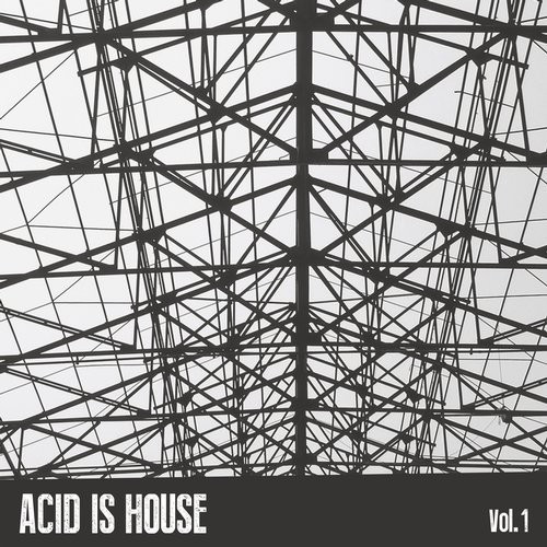 Acid Is House Vol.1