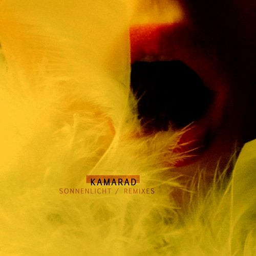 Sonnenlicht / Remixes