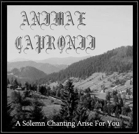 A Solemn Chanting Arise for You