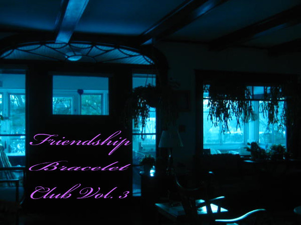 Friendship Bracelet Club Volume 3