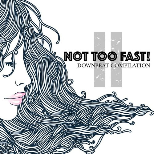 Not Too Fast! II - Downbeat Compilation