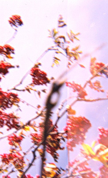 Tape Vol. 1