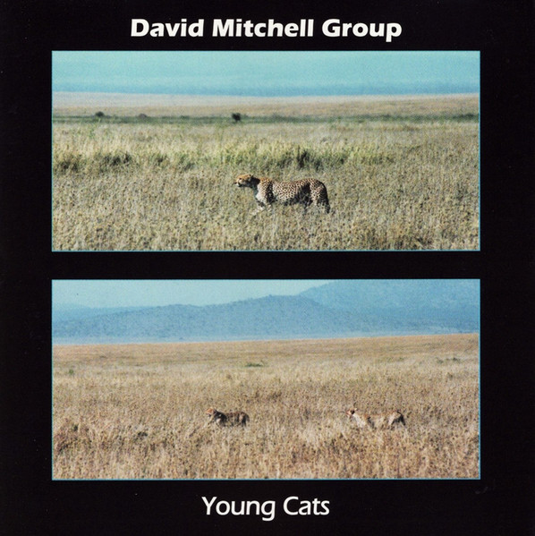Young Cats