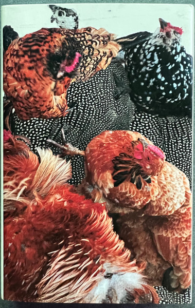 Beaks And Feathers - Live At Forestlimit