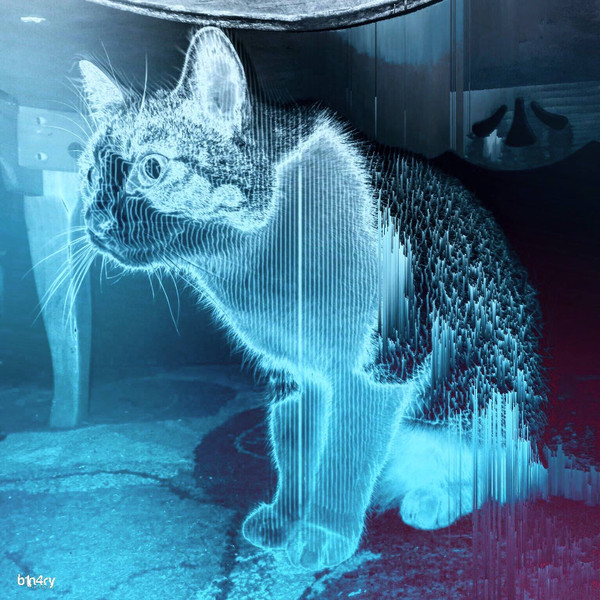 Cardiac Cats
