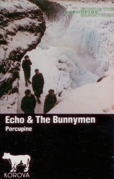 Porcupine
