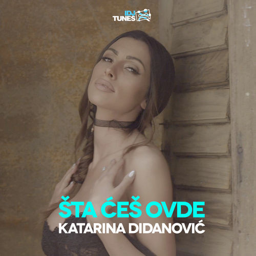 Šta Češ Ovde