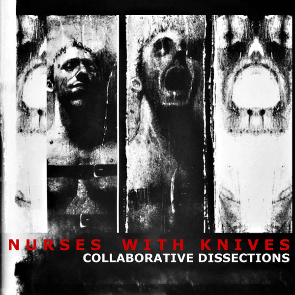 Collaborative Dissections