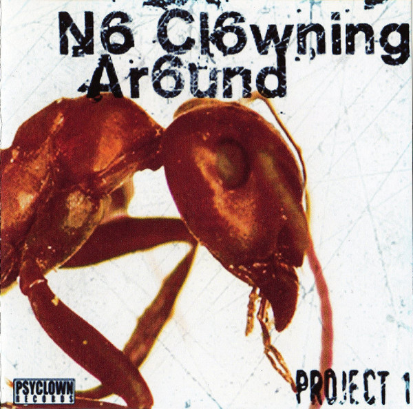 N6 Cl6wning Ar6und - Project 1