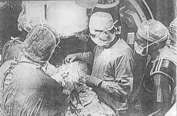 Dissection And Internal Examination Of The Body