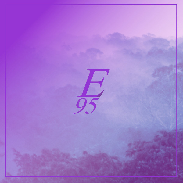 E95 2k15 Sampler