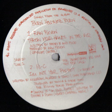 Songs From The Album "Burn Hollywood Burn"