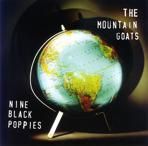 Nine Black Poppies