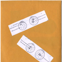 Fertilization Of The Ovum