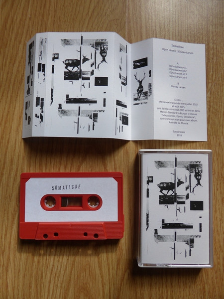 Djinn Larsen / Oiseau Larsen