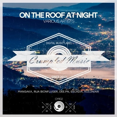 On The Roof At Night