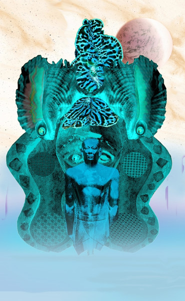 Coastal Vudutronic Voyage