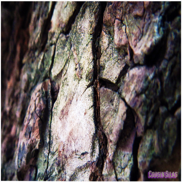 Twang 6 (Structures)