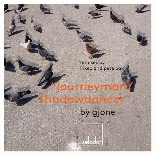 Journeyman / Shadowdancer