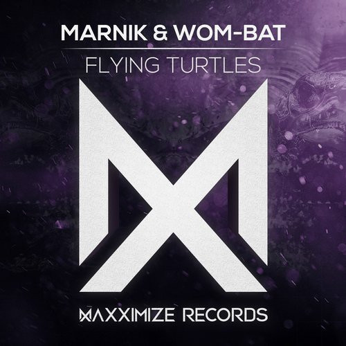Flying Turtles