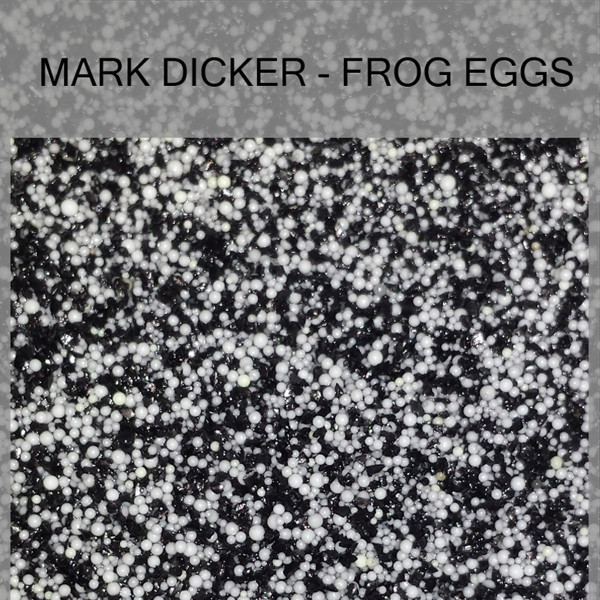 Frog Eggs
