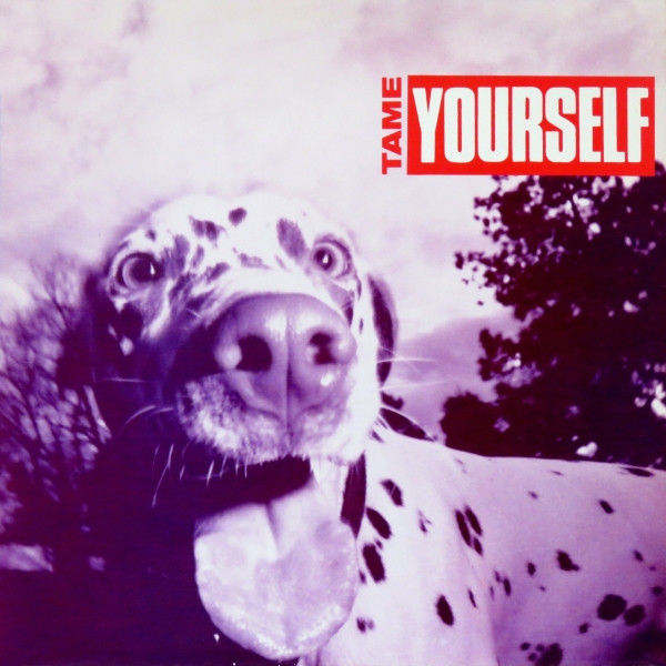 Tame Yourself