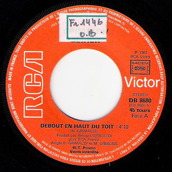 Debout En Haut Du Toit