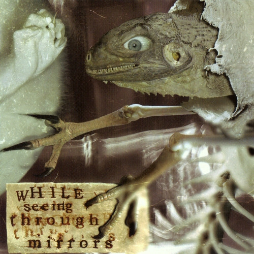 While Seeing Through Mirrors