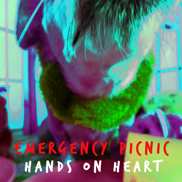 Emergency Picnic