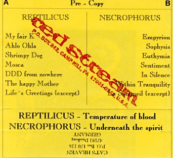 Temperature Of Blood / Underneath The Spirit
