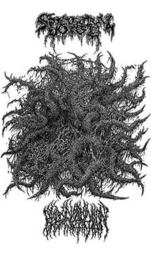 Spectral Voice / Blood Incantation