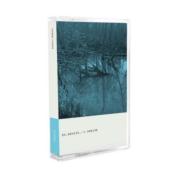 Swamp Tapes 003